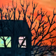 Suburban Sunsets