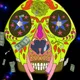 Sugar Skull NFTs