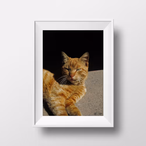 SullenFace NFT Collection