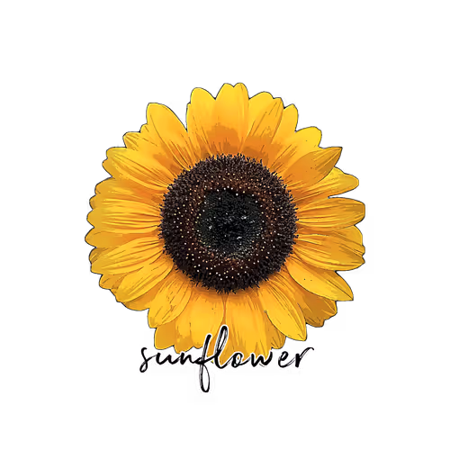 Sunflower Collection V1