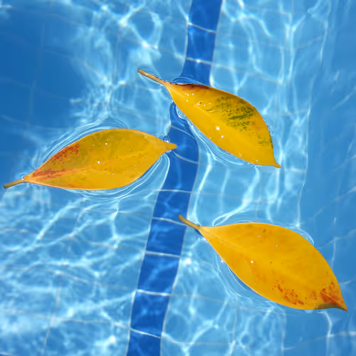 Summer Memories_Kalkan