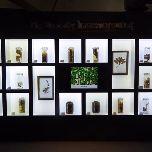 SUMMERTIMESICKNESS - old