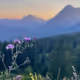 summits