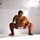 THE SUMO