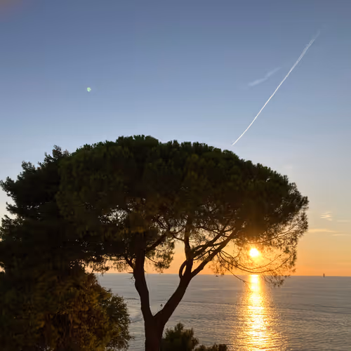 Sun -