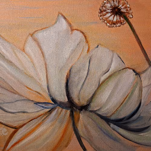 SUN LOTUS
