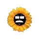 Sunflower Faces