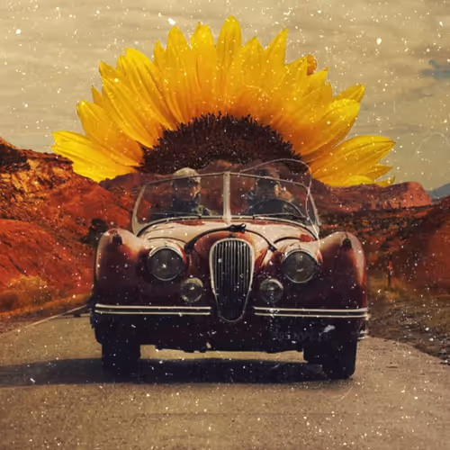 Sunflowery Ride - old