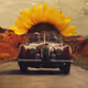 Sunflowery Ride - old