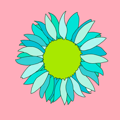 Sunflower 1