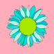 Sunflower 1