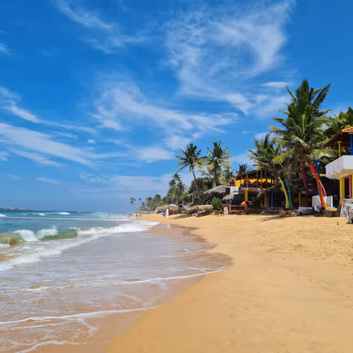 Sunny Vacation Club