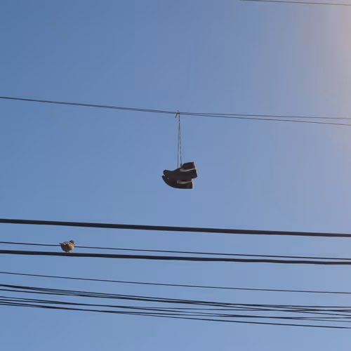 SunnyChrisse Collection