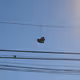 SunnyChrisse Collection