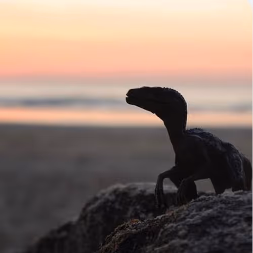The Jurrasic Sunrise