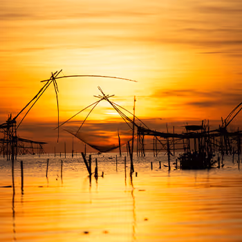 Sunrises of the Globe