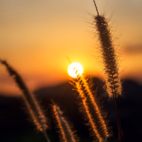 -sunset-