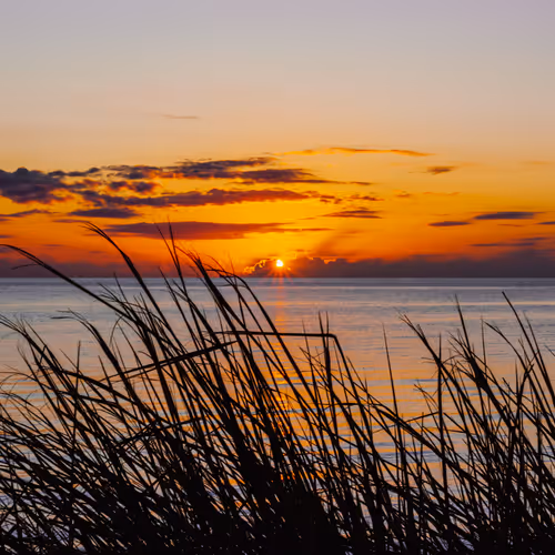 Sunset Glances