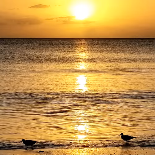 Sunset in Naples.