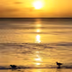 Sunset in Naples.