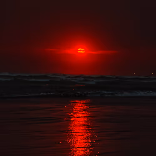Sunset - NFTees