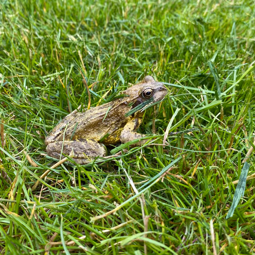 Sunset Sky Nature - old