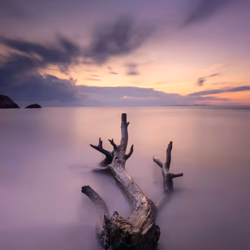 sunset melodies - old - old