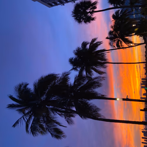 sunset miami
