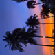 sunset miami