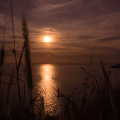 Sunsets by the Ocean