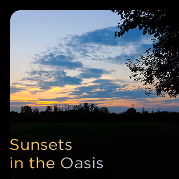 Sunsets in the Oasis - old