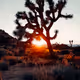 SunsetVoyage