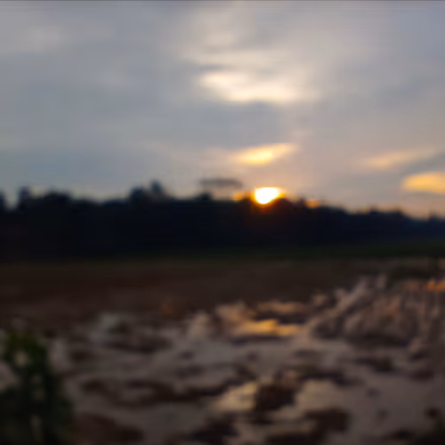 sun view in my village