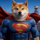 SUPER INU 