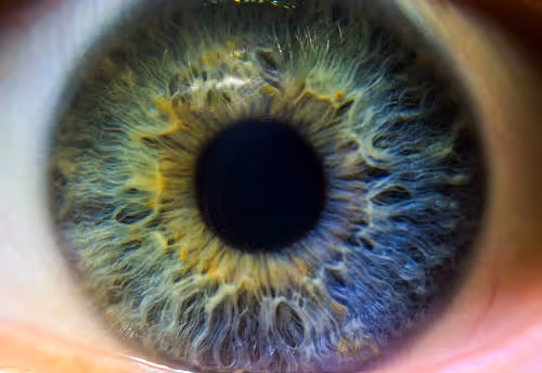 Super Macro Lens (SML-Game)