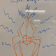 Super powernode Spider X