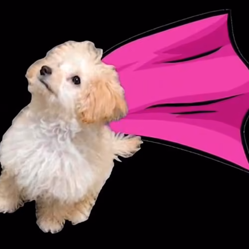 Super-Lalinha