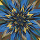 Supernovae 1