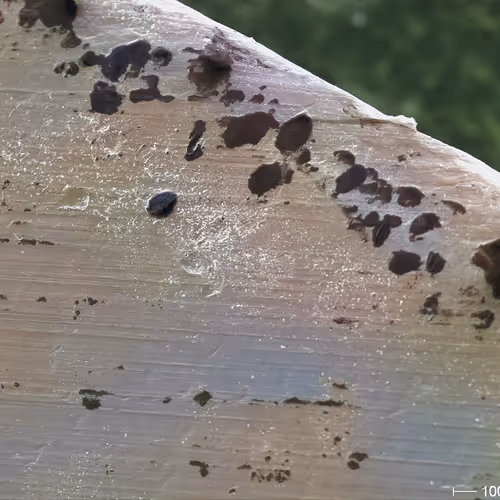 Surface micron scale