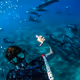 Surf Photography