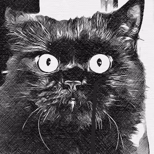 Surprise MF Oreo Here