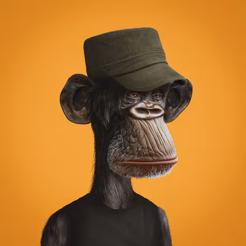 Surreal Apes Club