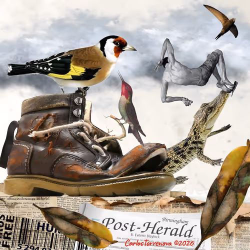 Surrealism Pop Art Collage