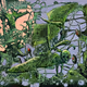 Surrealistic Art. Insects. Animals. Fish.