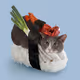 Sushicat