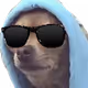 The Suspicious Dog