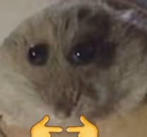  СuteHamster