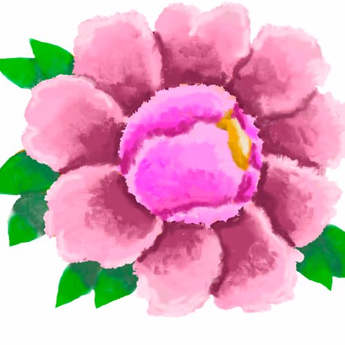 Suzue Peony flower