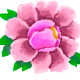 Suzue Peony flower