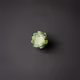 Succulent World Imagination Collection